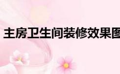 主房卫生间装修效果图（新房主卫怎么装修）