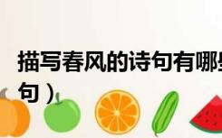 描写春风的诗句有哪些七年级（描写春风的诗句）