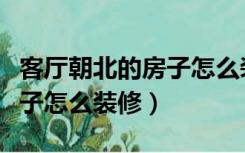 客厅朝北的房子怎么装修好看（客厅朝北的房子怎么装修）