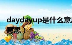 daydayup是什么意思（day day up 是什么意思）