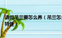 请问吊兰要怎么养（吊兰怎么养才能更旺盛两种吊兰的养殖特性）