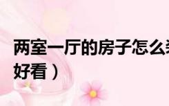 两室一厅的房子怎么装修好看（房子怎么装修好看）