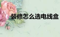 装修怎么选电线盒（装修怎么选电线）