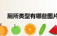 厕所类型有哪些图片（厕所类型有哪些）