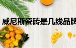 威尼斯瓷砖是几线品牌（威尼斯瓷砖怎么样）