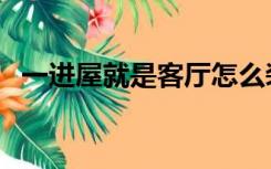 一进屋就是客厅怎么装修（客厅怎么装修）