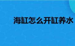 海缸怎么开缸养水（海水缸怎么装修）