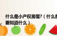 什么是小产权房屋?（什么是小产权房关于小产权房我们需要知道什么）