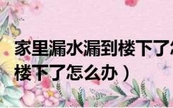 家里漏水漏到楼下了怎么办呢（家里漏水漏到楼下了怎么办）
