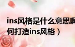 ins风格是什么意思啊（ins风格是什么意思如何打造ins风格）