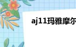 aj11玛雅摩尔（玛雅 摩尔）