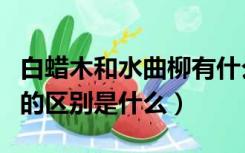 白蜡木和水曲柳有什么区别（白蜡木和水曲柳的区别是什么）
