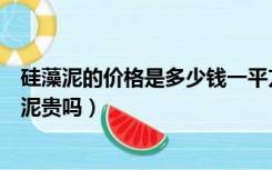 硅藻泥的价格是多少钱一平方（硅藻泥每平方米多少钱硅藻泥贵吗）