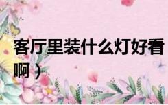 客厅里装什么灯好看（客厅里装什么灯比较好啊）