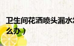 卫生间花洒喷头漏水怎么办（花洒喷头漏水怎么办）