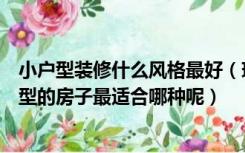 小户型装修什么风格最好（现在装修风格有哪些，我家小户型的房子最适合哪种呢）