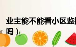 业主能不能看小区监控（小区监控业主可以看吗）