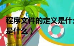 程序文件的定义是什么意思（程序文件的定义是什么）