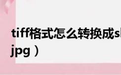 tiff格式怎么转换成shp（tiff格式怎么转换成jpg）