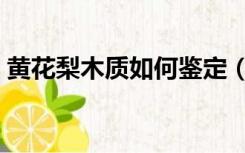 黄花梨木质如何鉴定（如何鉴别黄花梨木材）