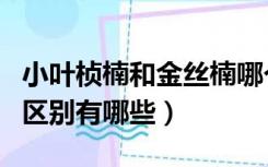 小叶桢楠和金丝楠哪个好（小叶桢楠和金丝楠区别有哪些）