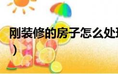 刚装修的房子怎么处理（刚装修完毕怎么处理）