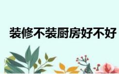 装修不装厨房好不好（可以只装修厨房吗）