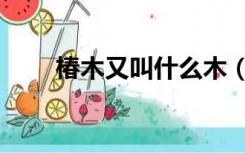 椿木又叫什么木（椿木是什么木材）