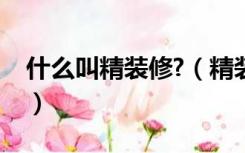 什么叫精装修?（精装修是指装修到什么程度）