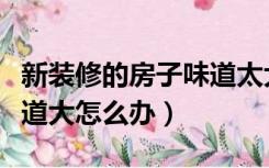 新装修的房子味道太大怎么办（装修完房子味道大怎么办）