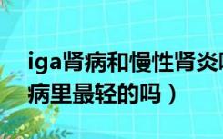 iga肾病和慢性肾炎哪个严重（iga肾炎在肾病里最轻的吗）