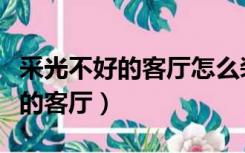 采光不好的客厅怎么装修（怎么装修光线不好的客厅）