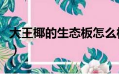 大王椰的生态板怎么样（大王椰生态板怎么选）