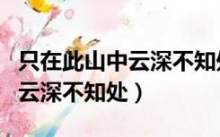 只在此山中云深不知处打一成语（只在此山中云深不知处）
