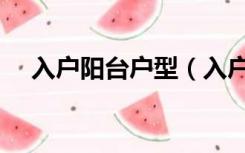 入户阳台户型（入户就是阳台怎么设计）