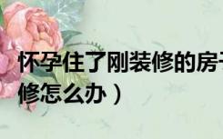 怀孕住了刚装修的房子怎么办（怀孕了家里装修怎么办）