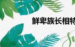 鲜卑族长相特点（鲜卑族）
