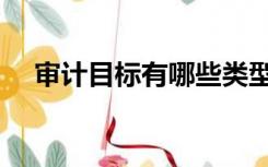 审计目标有哪些类型（审计目标有哪些）