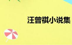 汪曾祺小说集（汪曾祺小说）