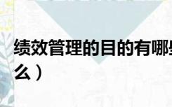 绩效管理的目的有哪些（绩效管理的目的是什么）