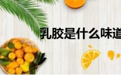 乳胶是什么味道（乳胶是什么）
