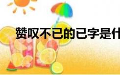 赞叹不已的已字是什么意思（赞叹不已）