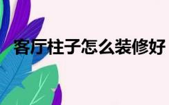 客厅柱子怎么装修好（客厅柱子怎么装修）