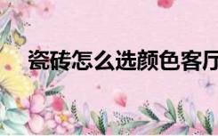 瓷砖怎么选颜色客厅（瓷砖怎么选颜色）