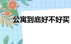 公寓到底好不好买（公寓到底好不好）