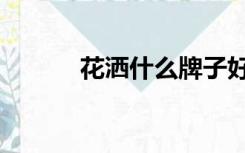 花洒什么牌子好（什么花洒好）