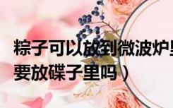 粽子可以放到微波炉里吗（微波炉加热粽子需要放碟子里吗）