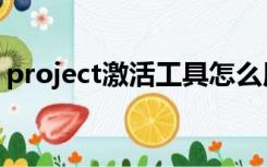 project激活工具怎么用（project激活工具）
