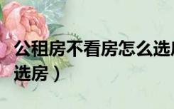 公租房不看房怎么选房号（公租房不看房怎么选房）