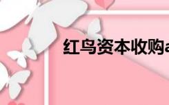 红鸟资本收购ac米兰（红鸟）